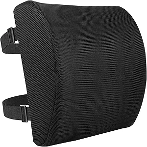 BACK CUSHION