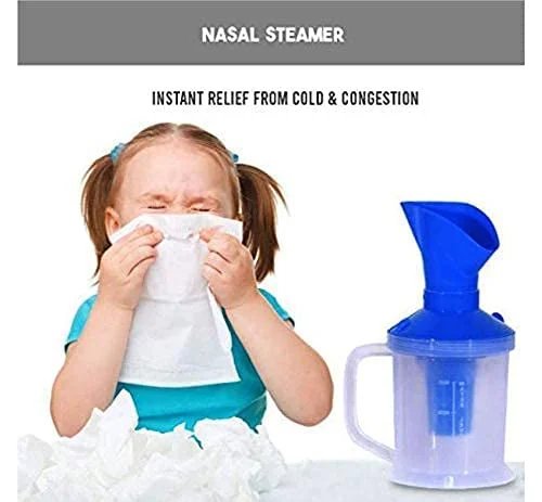 Vaporizer steamer